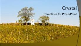  Presentation with torture - Presentation design featuring god's torture with autumnal vineyard modre hory southern moravia czech republic background and a light blue colored foreground