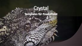  Presentation with dragon - Cool new theme with godzilla - dragon backdrop and a wine colored foreground