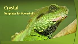  Presentation with green tree - Presentation consisting of godzilla - green iguana on tree branch background and a tawny brown colored foreground