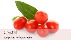  Presentation with goji - Cool new PPT layouts with goji berries on white background backdrop and a coral colored foreground