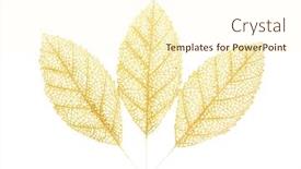  Presentation with gold leaves - Amazing presentation theme having gold-branch-of-leaves backdrop and a cream colored foreground