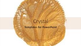  Presentation with gold glitter - Presentation theme having gold-bronze-glitter-brushstroke-painting background and a yellow colored foreground