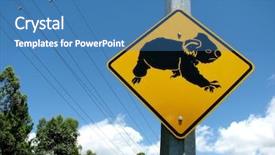  Presentation with australia - Cool new PPT theme with gold coast australia - koala crossing sign backdrop and a teal colored foreground