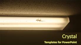  Presentation with gold dust - Audience pleasing presentation theme consisting of gold dust day gecko aka backdrop and a tawny brown colored foreground