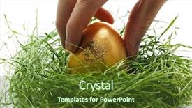  Presentation with gold egg - Colorful theme enhanced with gold egg from grass nest backdrop and a  colored foreground