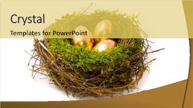  Presentation with gold - Theme consisting of gold eggs in a nest background and a yellow colored foreground