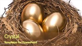  Presentation with gold egg - PPT theme enhanced with gold eggs in a nest background and a  colored foreground