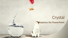  Presentation with funny animals - Beautiful slide deck featuring gold fish - funny lovely animals mixed media backdrop and a cream colored foreground