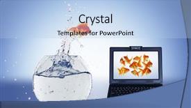  Presentation with goldfish - Beautiful PPT theme featuring gold fish and laptop backdrop and a light blue colored foreground