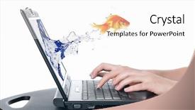  Presentation with goldfish - Beautiful slides featuring gold fish and laptop backdrop and a white colored foreground