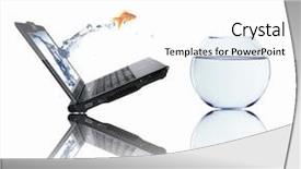 Presentation with goldfish - Colorful slides enhanced with gold fish and laptop backdrop and a white colored foreground
