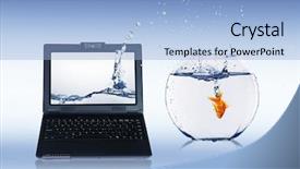  Presentation with goldfish - Audience pleasing theme consisting of gold fish and laptop backdrop and a light blue colored foreground