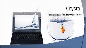 Presentation with goldfish - Presentation design consisting of gold fish and laptop background and a white colored foreground