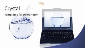  Presentation with goldfish - Theme enhanced with gold fish and laptop background and a  colored foreground