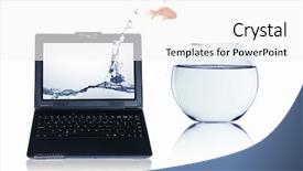  Presentation with goldfish - Beautiful PPT theme featuring gold fish jumping - goldfish and laptop collage backdrop and a white colored foreground