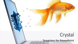  Presentation with mythology gold fish - Beautiful presentation theme featuring senior woman looking in bag while sitting by christmas presents at home backdrop and a violet colored foreground