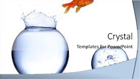  Presentation with fish aquarium - Theme consisting of gold fish jumping of aquarium background and a white colored foreground