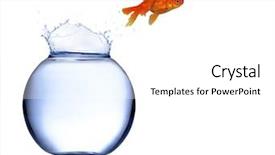 Presentation with fish aquarium - Beautiful PPT theme featuring gold fish jumping of aquarium backdrop and a white colored foreground