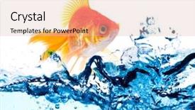  Presentation with water moving - Beautiful PPT theme featuring gold fish jumping over slash backdrop and a lemonade colored foreground