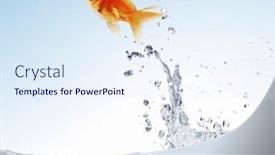  Presentation with blue gold - Slides having gold-fish-jumping-over and a sky blue colored foreground