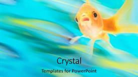  Presentation with free school - Amazing slides having gold fish with school backdrop and a teal colored foreground