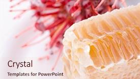  Presentation with honeycomb - Colorful theme enhanced with gold honeycomb and exotic flower backdrop and a lemonade colored foreground