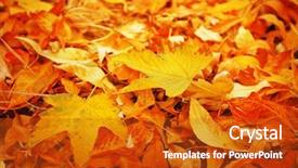  Presentation with close up dumb cane leaves - Audience pleasing presentation design consisting of gold leaf - colourful autumn leaves background close backdrop and a crimson colored foreground