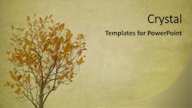  Presentation with antique paper texture - Slide set featuring gold leaf - red leaves tree with old background and a yellow colored foreground