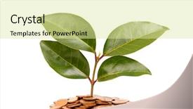  Presentation with gold loan - Theme featuring gold loan - coins and plant isolated background and a blonde colored foreground