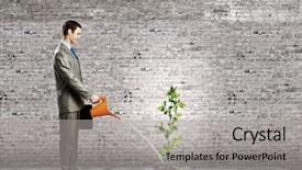 Presentation with gold start - PPT layouts enhanced with gold man start - image of businessman watering sprout background and a light gray colored foreground