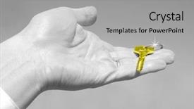  Presentation with palm - Presentation having gold new start business - key in a palm background and a light gray colored foreground