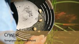  Presentation with rich man - Cool new PPT layouts with gold panning man striking it backdrop and a gold colored foreground