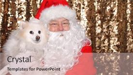  Presentation with sequin - PPT layouts enhanced with gold sequin background christmas holiday background and a  colored foreground