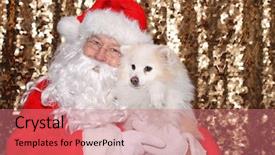  Presentation with sequin - Cool new PPT layouts with gold sequin background christmas holiday backdrop and a  colored foreground