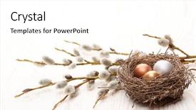  Presentation with quail - Slide set with easter decoration quail eggs background and a white colored foreground