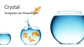  Presentation with water wave - Presentation theme with gold wave - goldfish jumping background and a white colored foreground