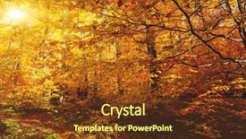  Presentation with gold leaves - Slide set with gold wood - bright colorful leaves background and a  colored foreground