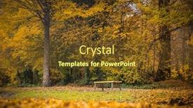  Presentation with golden yellow - Presentation featuring golden-autumn-landscape-yellow-leaves background and a tawny brown colored foreground