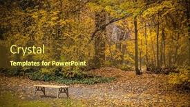  Presentation with golden yellow - Presentation featuring golden-autumn-landscape-yellow-leaves background and a tawny brown colored foreground