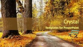  Presentation with path - Audience pleasing PPT layouts consisting of whole canis lupus signatus in the wild looking at the right side side view backdrop and a gray colored foreground