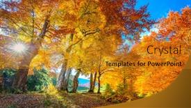  Presentation with sunny fall - Presentation featuring golden-autumn-season-in-forest background and a gold colored foreground