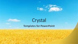  Presentation with deep blue - PPT theme having golden barley under deep blue sky background and a light blue colored foreground