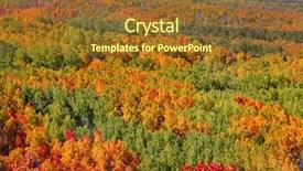  Presentation with carpet - Beautiful presentation design featuring golden brown - carpet of fall trees backdrop and a tawny brown colored foreground