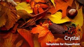  Presentation with fall leaves border autumn - Amazing presentation theme having golden brown - colourful and bright fallen autumn backdrop and a tawny brown colored foreground