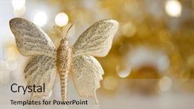  Presentation with butterfly - Beautiful presentation theme featuring golden butterfly with soft background backdrop and a coral colored foreground