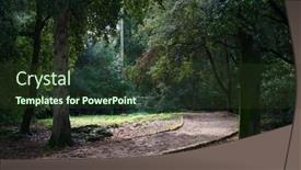  Presentation with forest - PPT layouts featuring golden-cape-forest-park-zlatni background and a tawny brown colored foreground