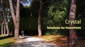  Presentation with croatia - Theme having golden-cape-forest-park-zlatni background and a tawny brown colored foreground