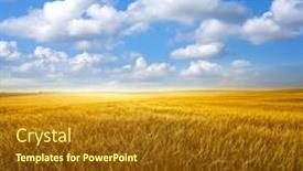  Presentation with sky blue - Cool new PPT theme with golden cereal fields under blue summer sky backdrop and a tawny brown colored foreground