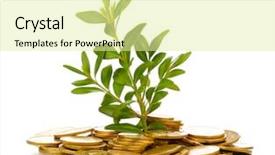  Presentation with plant - Presentation theme having golden coins and plant isolated background and a blonde colored foreground