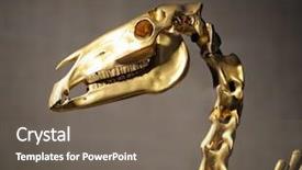  Presentation with skull - Theme having golden dragon - skull of animal with bones background and a gray colored foreground